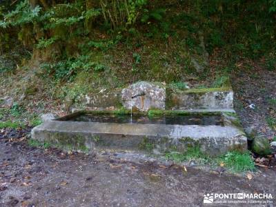 Hayedos Parque Natural de Redes;actividades de senderismo la barranca de navacerrada navacerrada la 